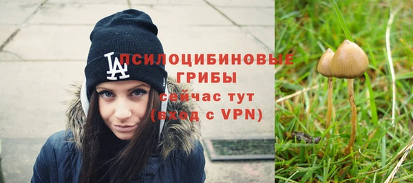 мяу мяу мука Белоозёрский