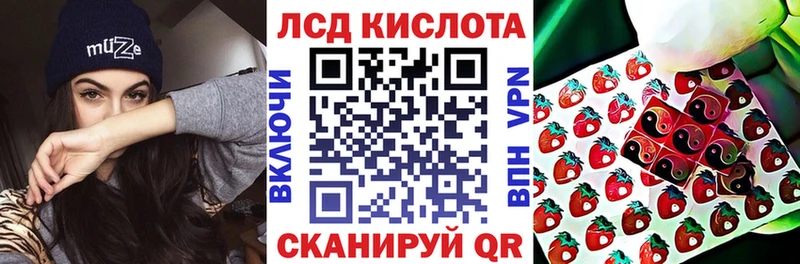Наркотические марки 1500мкг  сайты даркнета наркотические препараты  Невель 
